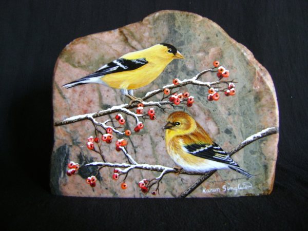 American Gold Finches