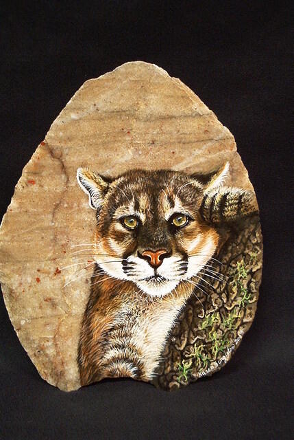 Cougar (SOLD)