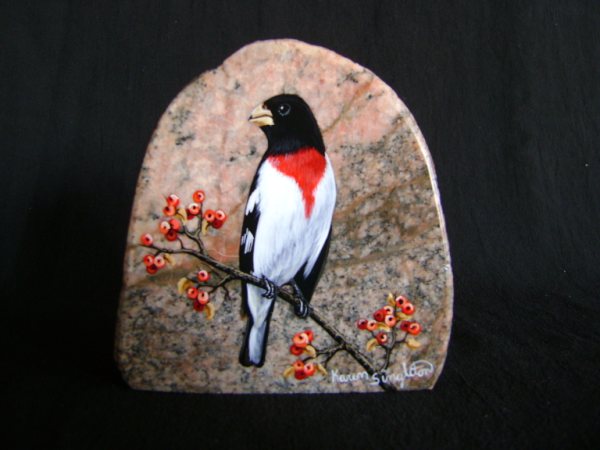 Rosebreasted Grosbeak