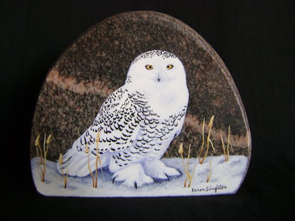 Snowy Owl