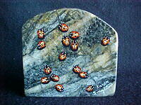 Ladybugs  (SOLD)