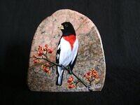 Rosebreasted Grosbeak