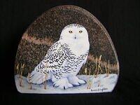 Snowy Owl